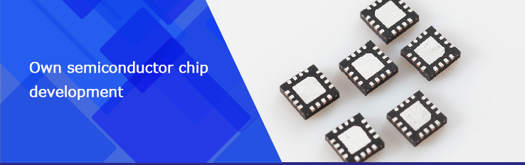 Own semiconductor chip development